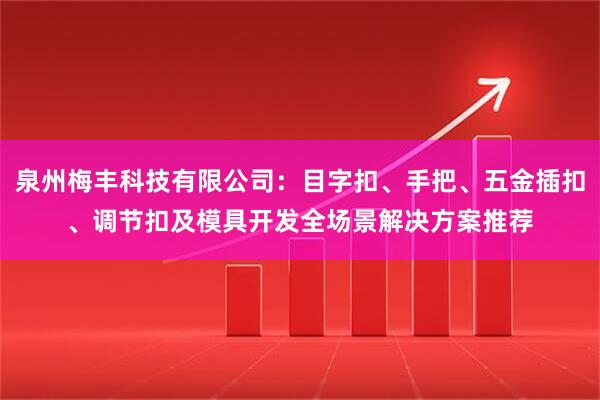泉州梅丰科技有限公司：目字扣、手把、五金插扣、调节扣及模具开发全场景解决方案推荐